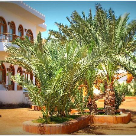 Shams Hotel & Dive Centre ダハブ エクステリア 写真