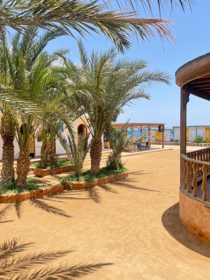 Shams Hotel & Dive Centre ダハブ エクステリア 写真