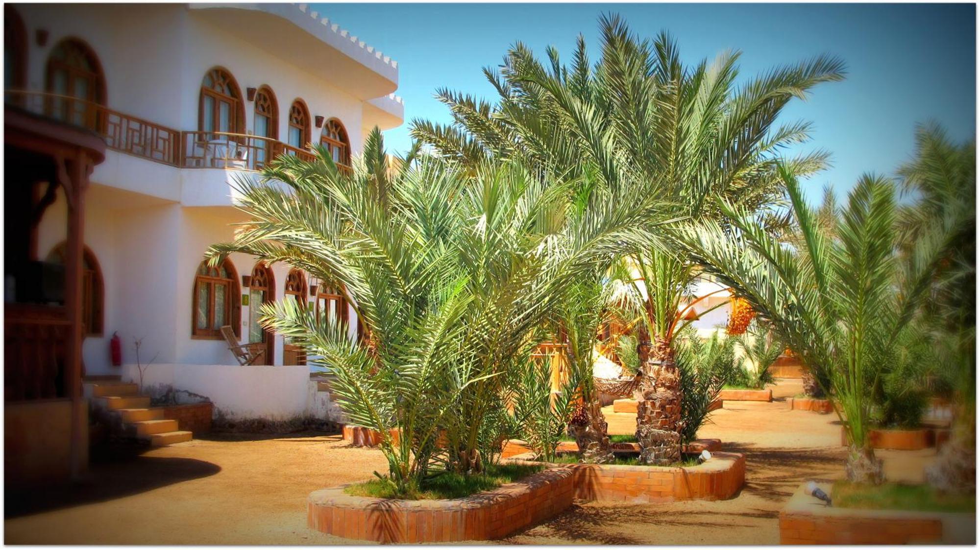 Shams Hotel & Dive Centre ダハブ エクステリア 写真