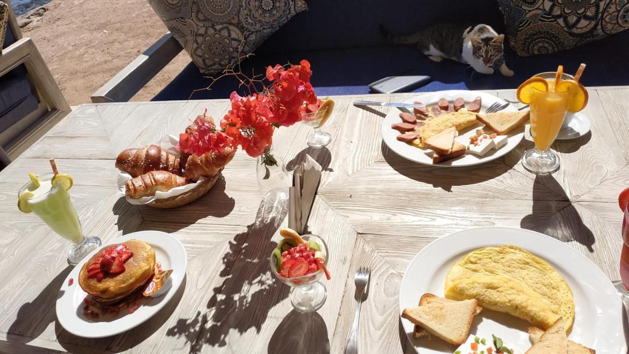 Shams Hotel & Dive Centre ダハブ エクステリア 写真